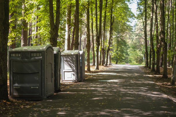 Best Portable bathroom rental  in North Fork, AZ
